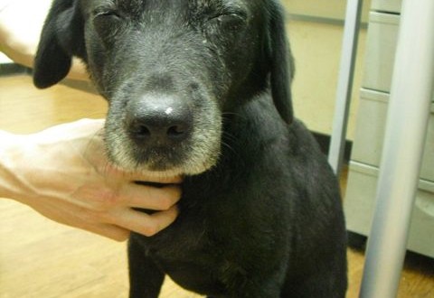 1380943629-4131206378