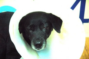 1380943630-2460811643