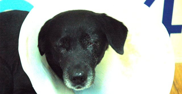 1380943630-2460811643