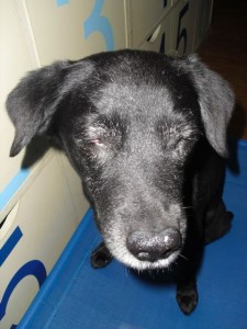 1380943630-2875381795