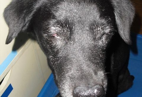 1380943630-2875381795