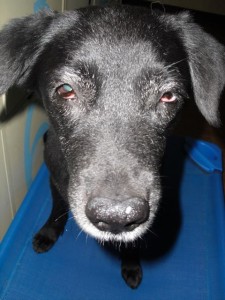 1380943631-1014064502