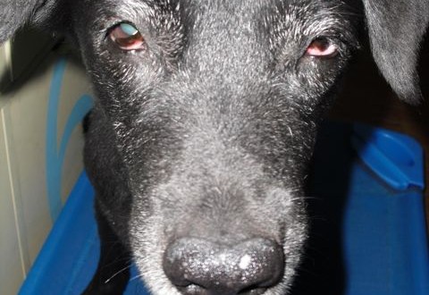 1380943631-1014064502