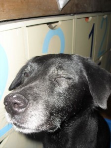 1380943631-3386746764