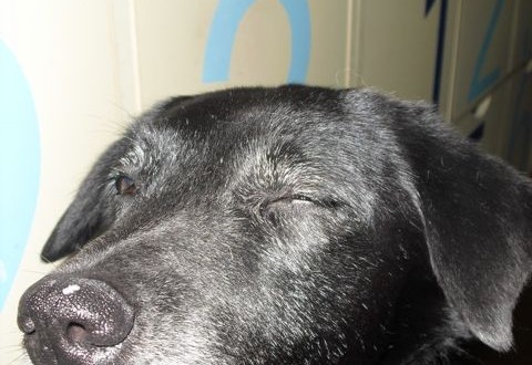 1380943631-3386746764