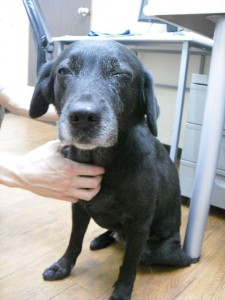 1380943632-1544410753