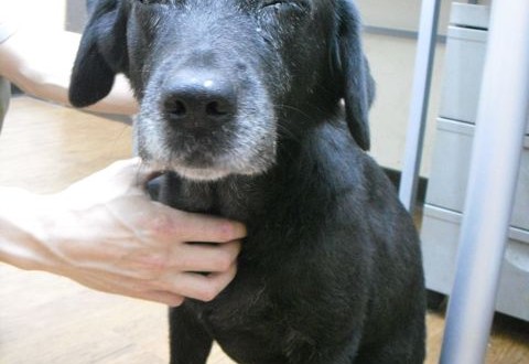 1380943632-1544410753