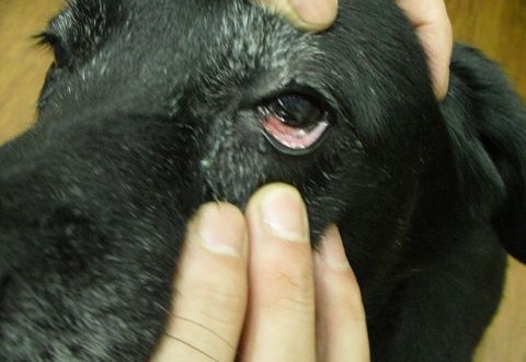 1380943632-3979615136