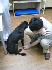 1380943633-1036726918