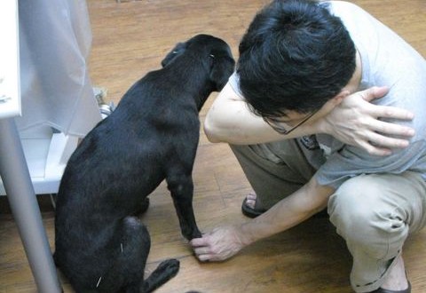 1380943633-1036726918