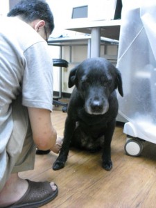 1380943633-2699581421