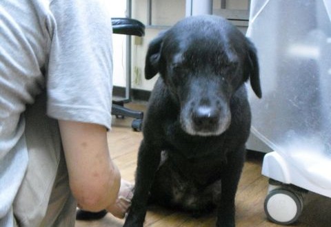 1380943633-2699581421