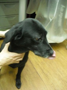 1380943633-4239368649