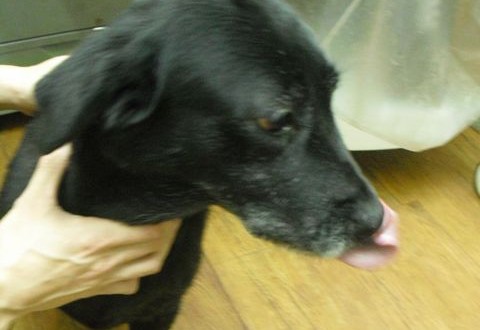 1380943633-4239368649