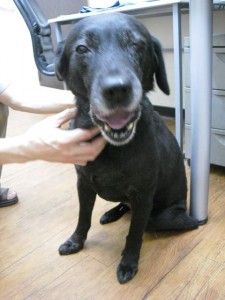 1380943634-2227648000