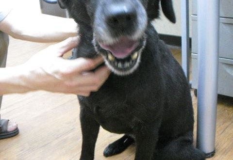 1380943634-2227648000