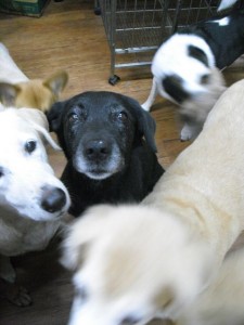 1380943634-2651843829