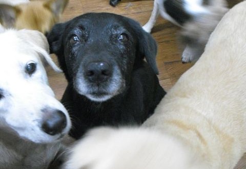 1380943634-2651843829