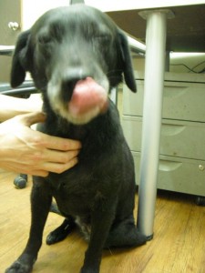 1380943634-2980935874