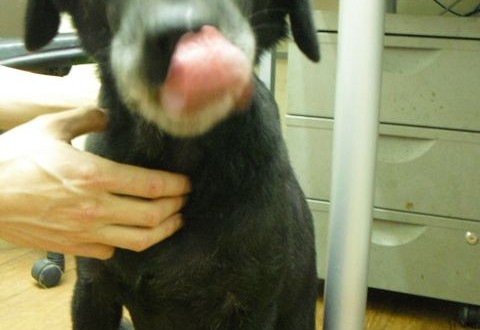 1380943634-2980935874