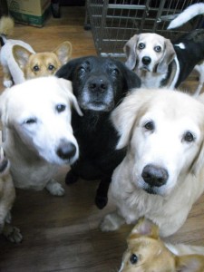 1380943635-3513887016