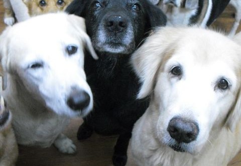 1380943635-3513887016