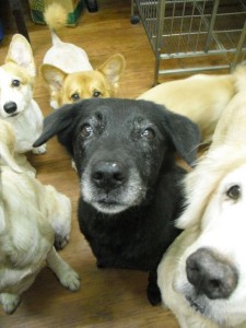 1380943635-3969261874