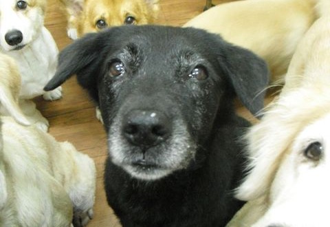 1380943635-3969261874