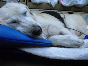 1380943654-1607463433