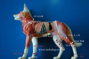 1380943654-1653639011