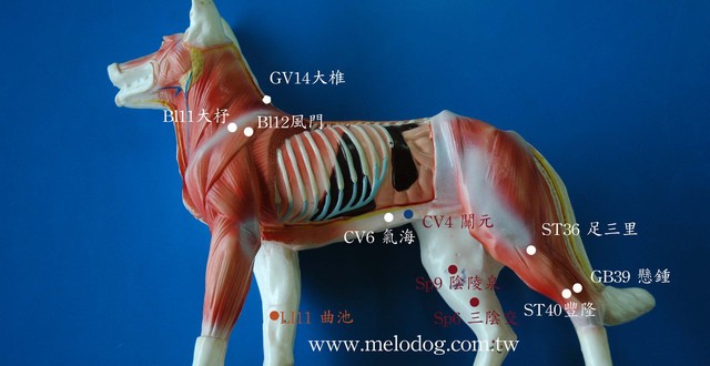 1380943654-1653639011