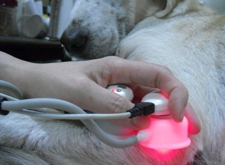 1380943654-2826383183