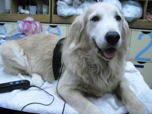 1380943655-289966088