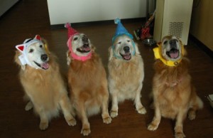 1380943699-3659815153