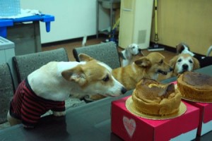 1380943699-909355921