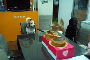 1380943700-1391040952