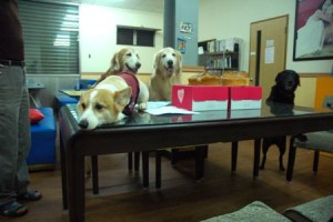 1380943701-2218868708