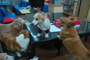 1380943701-2493360724