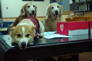 1380943702-2522939788