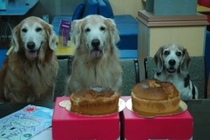 1380943702-3442942068