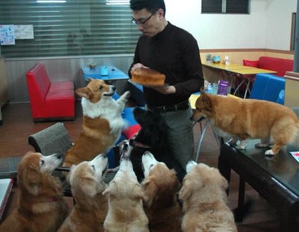 1380943703-2554513503