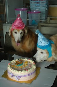 1380943703-3278243964