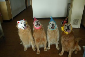 1380943704-700936150