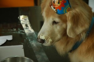 1380943705-1221314566