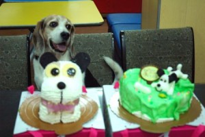 1380943706-2777092577