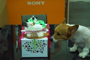 1380943706-3653442489