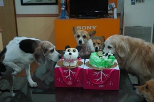 1380943707-869323696