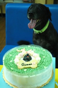 1380943708-1325392205