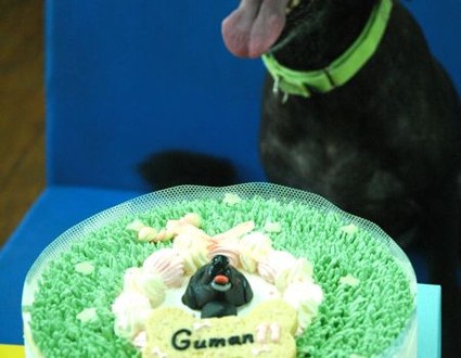 1380943708-1325392205