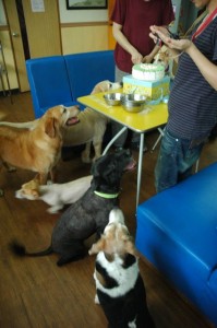 1380943708-2143342006